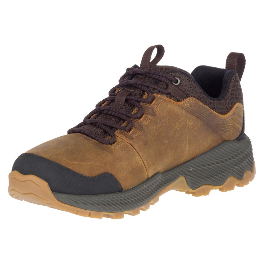 Chaussures Randonnée Merrell Forestbound Marron Homme | D.I.SIHR